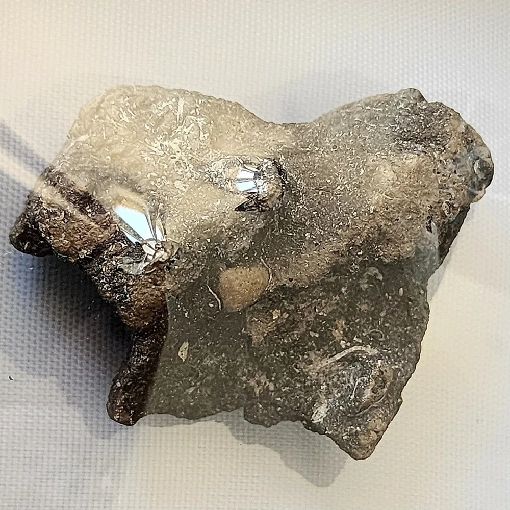 Unique Heart Shaped Late Cretaceous Period Fossil Cluster in Matrix Display Rare